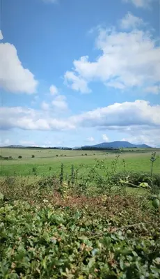 a large green field with animals in the distance at Zions Retreat in Plumbland