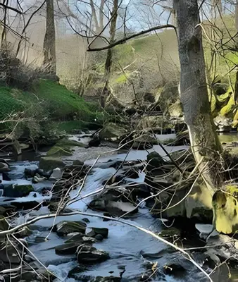 a stream in the woods with snow and trees at Cozy Cottage in Caldbeck in Caldbeck