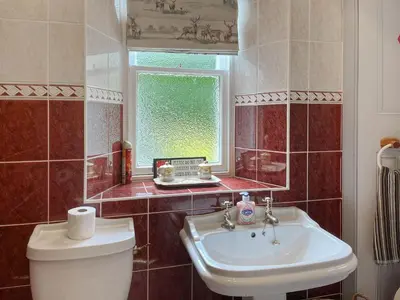 a bathroom with a toilet and a sink and a window at Upper Double Lodge in Kirkcudbright