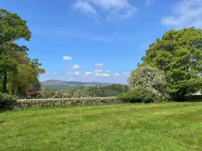 a grassy field with a stone wall and trees at Upper Double Lodge in Kirkcudbright
