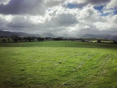 a green field with a horse in the middle at Sycamore Cottage, Western Lakes Bolthole With Views Across the Fells in Arlecdon