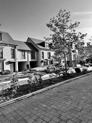 a black and white photo of houses and a street at Middle Kent Lux! in Moffat