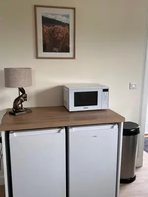 a microwave oven sitting on top of a counter at Williamsfield Cottage in Holywood