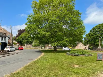 a large tree on the side of a road at Cottage At Brathen in Penrith
