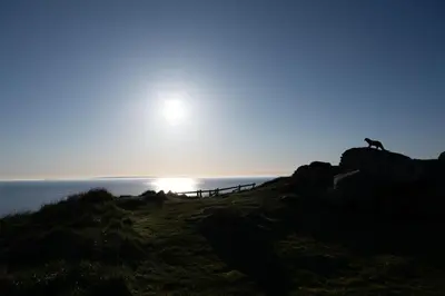 a person standing on a rock near the ocean at Larroch Farmhouse in Monreith