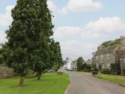 a tree on the side of a road at Fleet Townhouse in Castle Douglas