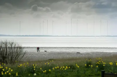 a person and a dog walking on the beach at Shoreside in Powfoot