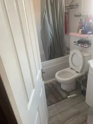a bathroom with a toilet with the lid up at Gravesend one room apartment in Moffat