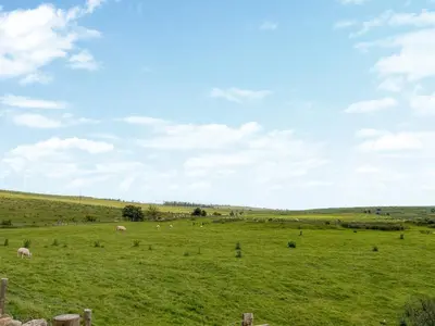 a field with sheep grazing in a green field at Keswick Reach in Cockermouth