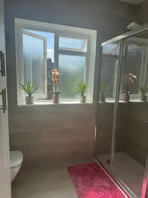 a bathroom with a shower with potted plants in a window at Jett Joy in Moffat