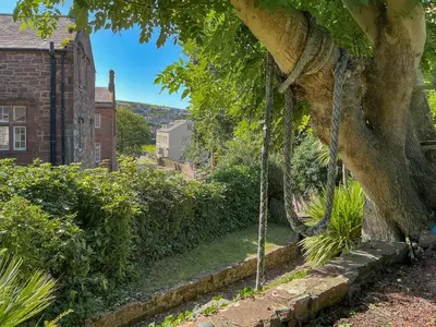 a tree with a chain hanging from it at Abbey Cottage in St Bees