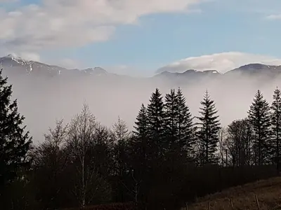 a group of trees in front of a foggy mountain at The Barn in Girthon
