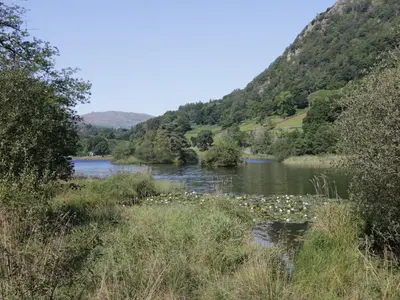 a river with a bunch of flowers in the water at Coleridge in Ambleside