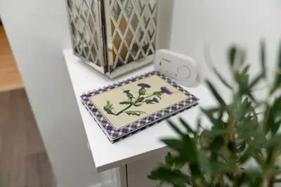 a table with a plate on a shelf with a plant at Couples or Golfers Near to Beach in Troon