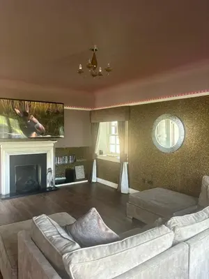 a living room with a couch and a fireplace at Brig o Doon 3 in Ayr