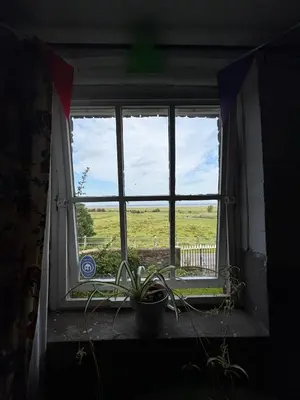 a window with a potted plant on a window sill at Hillside Farm in Carlisle
