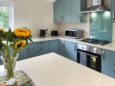 a kitchen with blue cabinets and a vase of flowers on a table at Alderneuk Lodge - Uk49923 in Dumfries