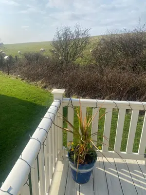 a plant in a blue pot on a white fence at Turnberry holiday park in Turnberry