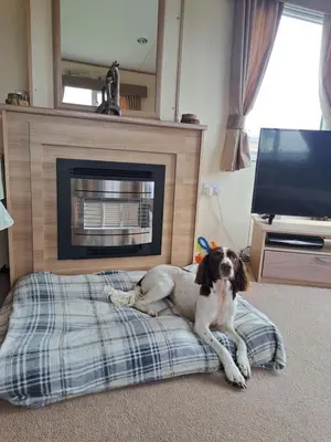 a dog laying on a bed in front of a fireplace at Three lochs holiday park Loch view 123 in Balminnoch