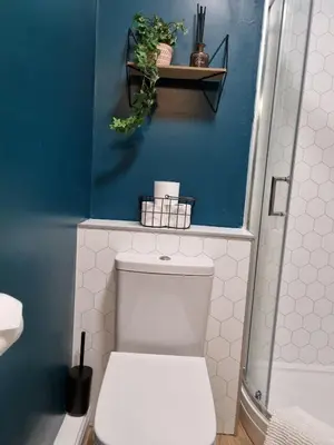 a bathroom with a white toilet and a blue wall at No3 Spacious Apartment Cockermouth in Cockermouth