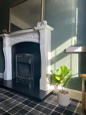 a living room with a fireplace and a potted plant at Relax by the River, at Millgreen House in Dumfries