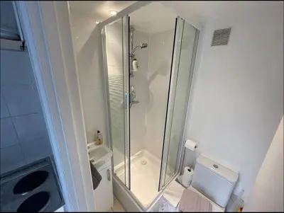 a bathroom with a shower and a toilet at Central and Spacious first floor flat in Moffat