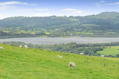 a herd of sheep grazing on a grassy hill at 1 Bed in Keswick oc-f33118 in Bassenthwaite