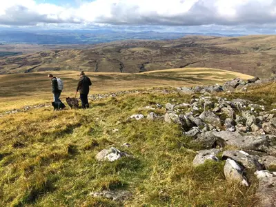 two men walking their dog on a hillside at Burnside of Ae Glamping Shepherd's Hut in Dumfries
