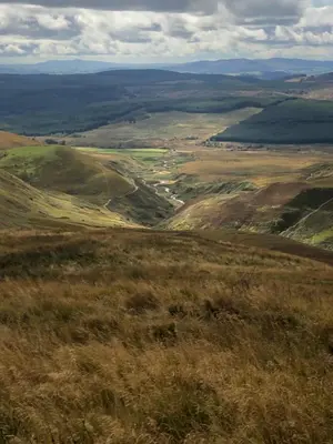 a view of a field from a hill with grass at Burnside of Ae Glamping Shepherd's Hut in Dumfries