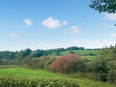 a field with trees and a field of grass at Revita in Egremont