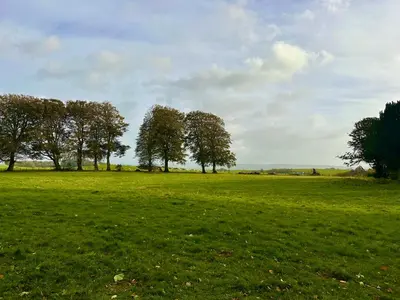 a group of trees in a field of grass at Stylish Cabin with Countryside Views and King Bed in Maybole