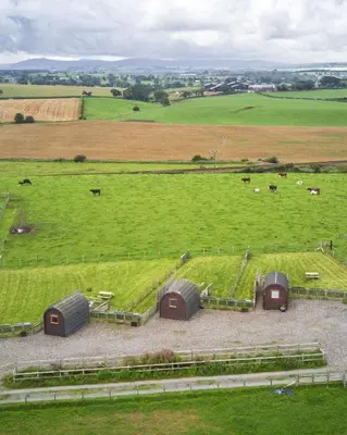 a large green field with a bunch of animals in it at Unit 3 - High Pike View Camping Pod in Carlisle