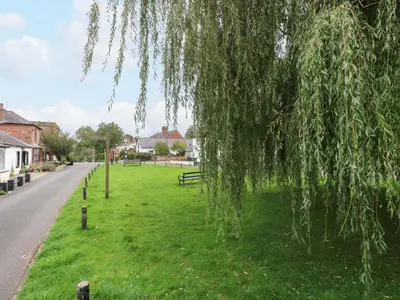 a tree hanging over a green field with benches at Milford in Carlisle