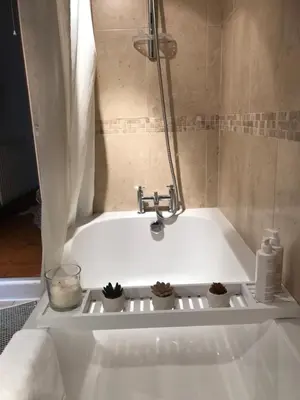a white bath tub with three plants in it at Evas cottage near Scafell in Gosforth