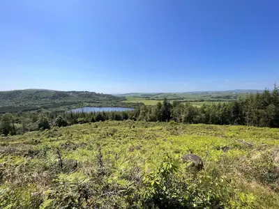 a field of grass with a lake in the distance at Woodlane 3bedroom7 seater hottub and a pool table in Beeswing