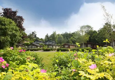 a bunch of flowers in a yard with houses at Bassenthwaite Lakeside Lodges in Bassenthwaite
