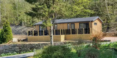 a small wooden cabin in the middle of a forest at High Spy Luxury Lodge in Keswick