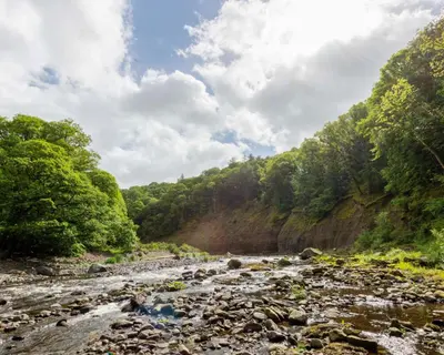a river in the middle of a mountain with trees at High Spy Luxury Lodge in Keswick