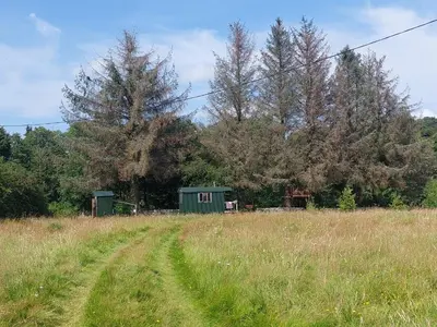 a green shed in a field with a dirt road at Shepherd's Hut Harmony at A Therapeutic Space in Moniaive