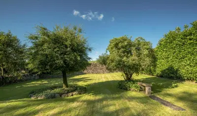 two trees in the middle of a grass field at 1 Bed in Uldale oc-g34032 in Uldale