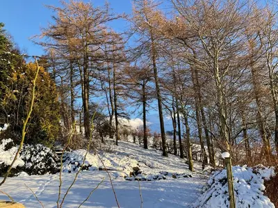 a snow covered field with trees in the background at 2 Bed in Wigton oc-b34112 in Caldbeck