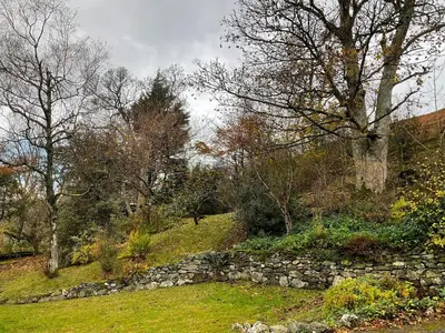 a stone wall in a field with trees at 5 Bed in Wigton oc-b34111 in Caldbeck