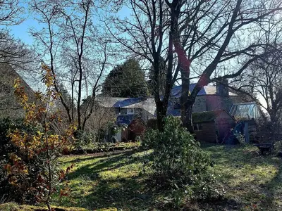 a yard with trees and a house in the background at The Coach House- Canonbie in Canonbie