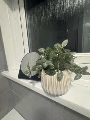 a potted plant sitting on a window sill at West Lakes 3 Bedroom - Sleeps 5 - Self Check In - Fully Furnished House in Workington