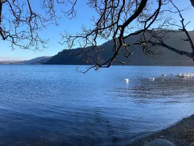 a group of swans swimming in a large lake at Handy for Lake District, detached property in Penruddock