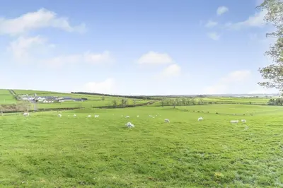 a herd of sheep grazing in a green field at 5 Bed in Galston oc-s33451 in Galston