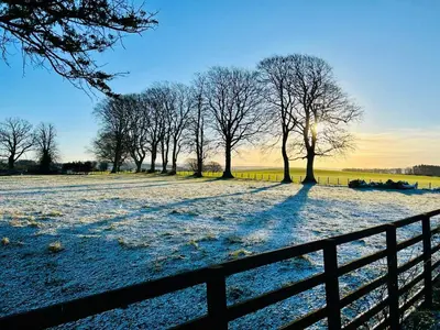 a fence in a snow covered field with trees at Wild Meadow Cottage - Countryside Views and King Bed in Maybole
