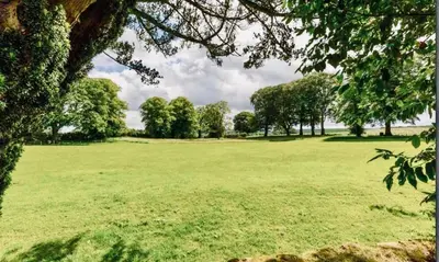 a large green field with trees in the distance at Wild Meadow Cottage - Countryside Views and King Bed in Maybole