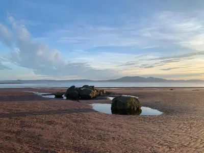 a group of rocks on a sandy beach at West Coast Whistlestop in Ochiltree