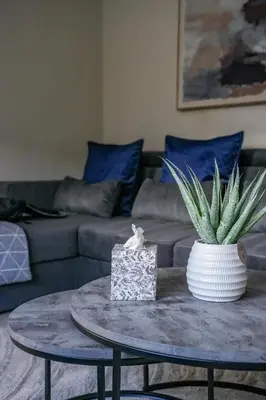 a living room with a table with a plant on it at Victory House in Gretna
